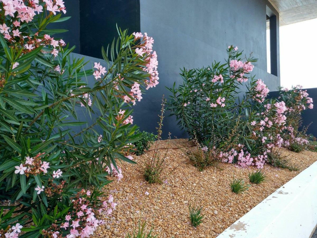 Casa Sensa Apartment Albufeira Ngoại thất bức ảnh